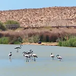 Διαμέρισμα Barrocal *